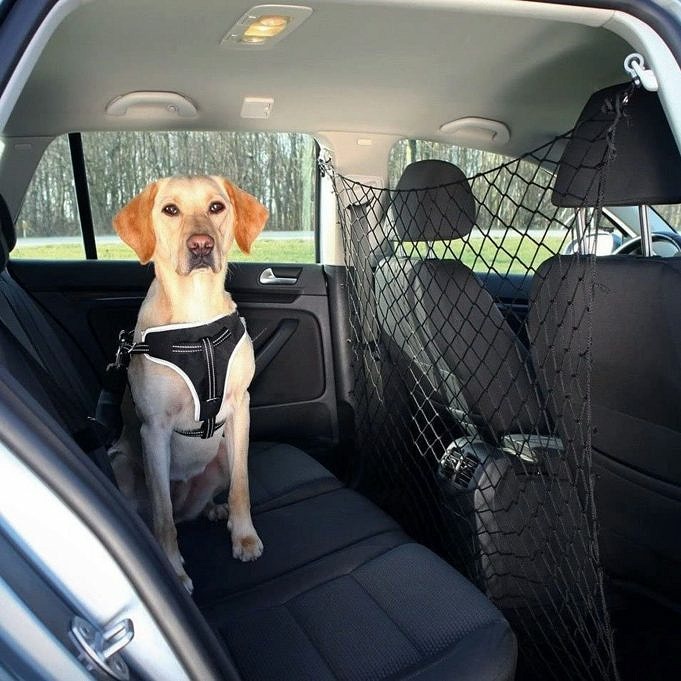 Come Realizzare Un Seggiolino Per Auto Per Cani. Guida Completa Alla Sicurezza Dei Cani