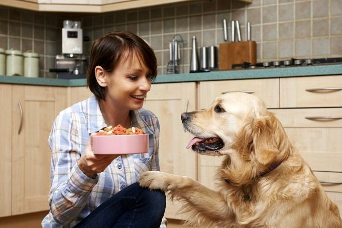I Cani Possono Mangiare Il Riso Integrale? Sì! Ecco Perché